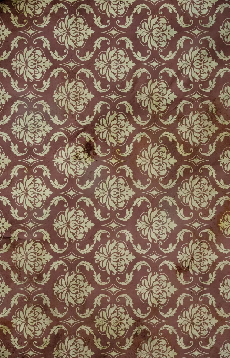 Coco 8X12 Ultracloth ( 96 X 144 Inch ) Backdrop