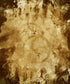 Beige Urban Grunge Backdrop for Photography