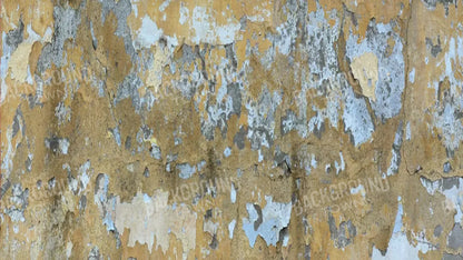 Colton 14X8 Ultracloth ( 168 X 96 Inch ) Backdrop