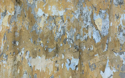 Colton 14X9 Ultracloth ( 168 X 108 Inch ) Backdrop