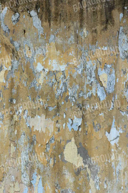 Colton 5X8 Ultracloth ( 60 X 96 Inch ) Backdrop