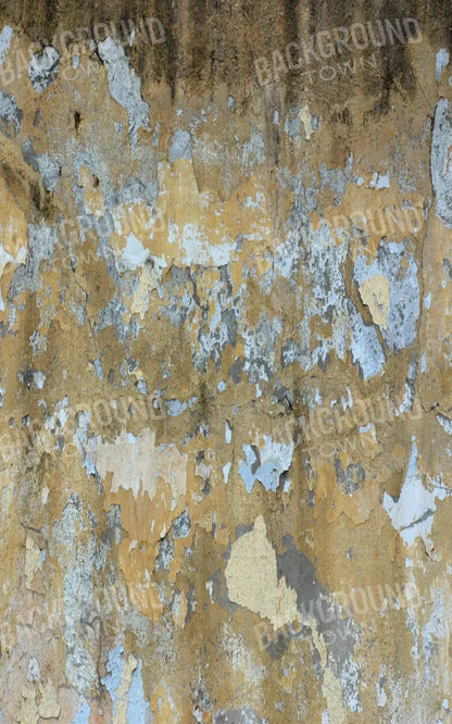 Colton 9X14 Ultracloth ( 108 X 168 Inch ) Backdrop