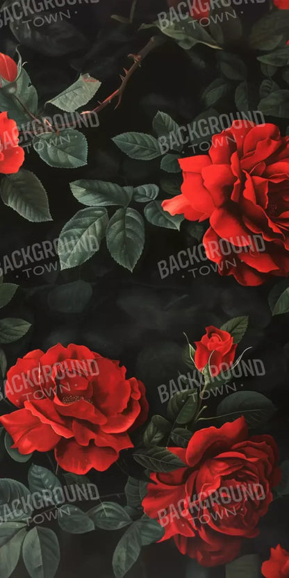 Comolaflor 10’X20’ Ultracloth (120 X 240 Inch) Backdrop