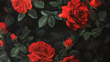 Comolaflor 14’X8’ Ultracloth (168 X 96 Inch) Backdrop