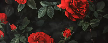 Comolaflor 20’X8’ Ultracloth (240 X 96 Inch) Backdrop