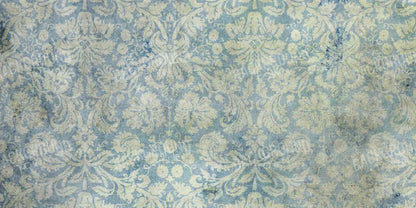 Composition 20X10 Ultracloth ( 240 X 120 Inch ) Backdrop