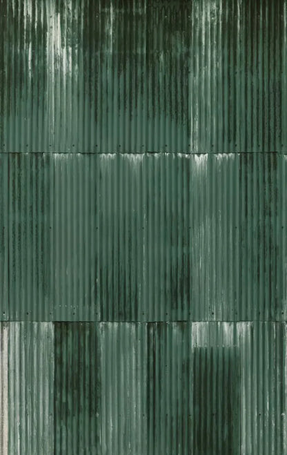 Compound Green 10X16 Ultracloth ( 120 X 192 Inch ) Backdrop