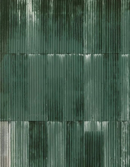 Compound Green 6X8 Fleece ( 72 X 96 Inch ) Backdrop