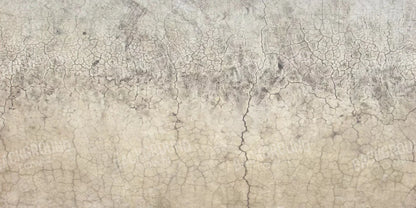 Concrete Wall 20X10 Ultracloth ( 240 X 120 Inch ) Backdrop