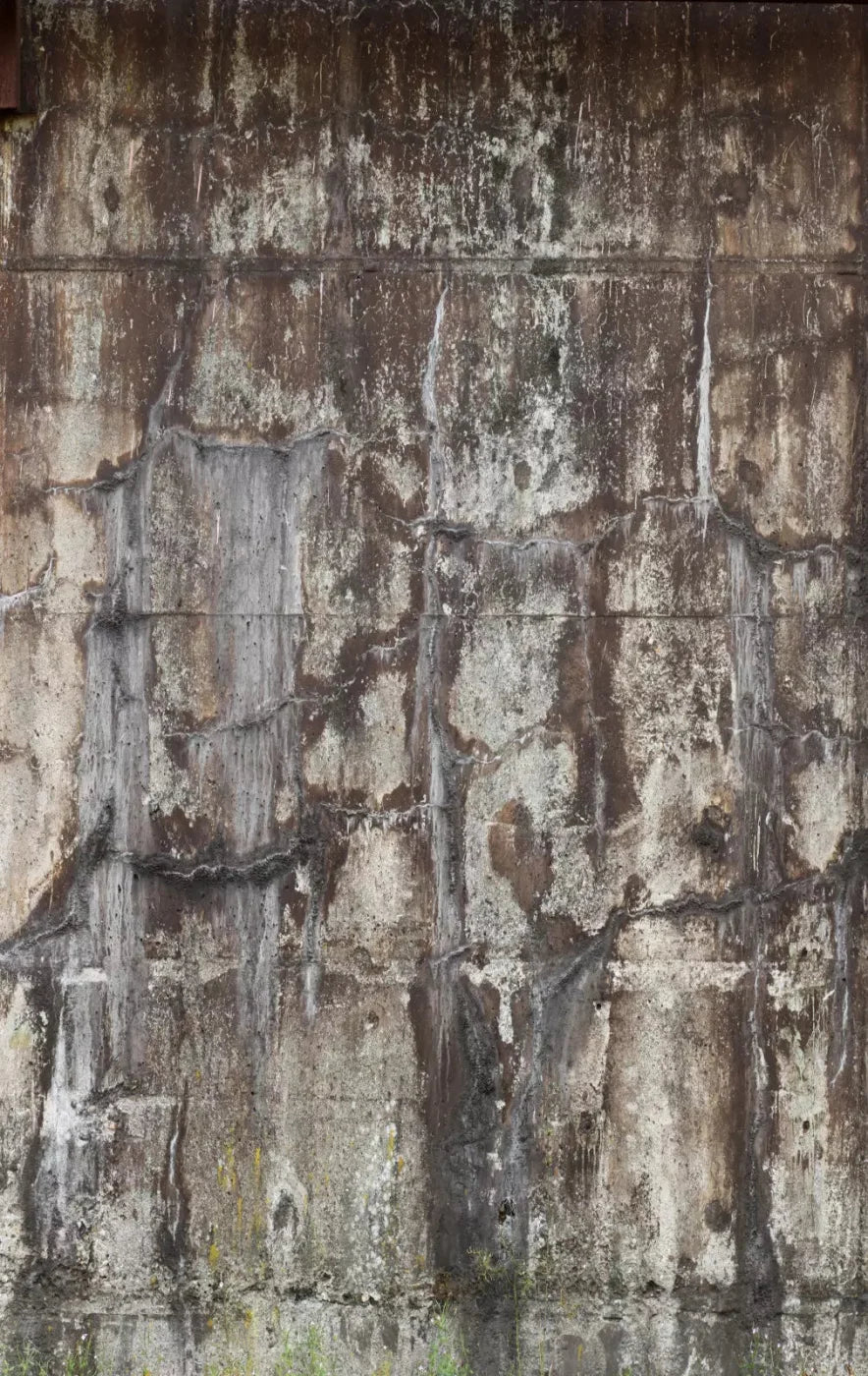 Condemned 10X16 Ultracloth ( 120 X 192 Inch ) Backdrop