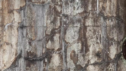 Condemned 14X8 Ultracloth ( 168 X 96 Inch ) Backdrop