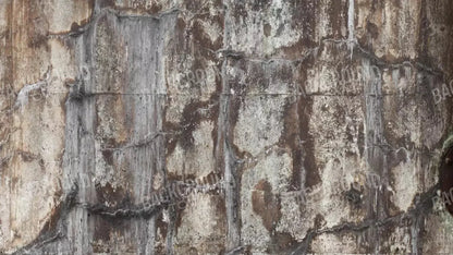 Condemned 14X8 Ultracloth ( 168 X 96 Inch ) Backdrop