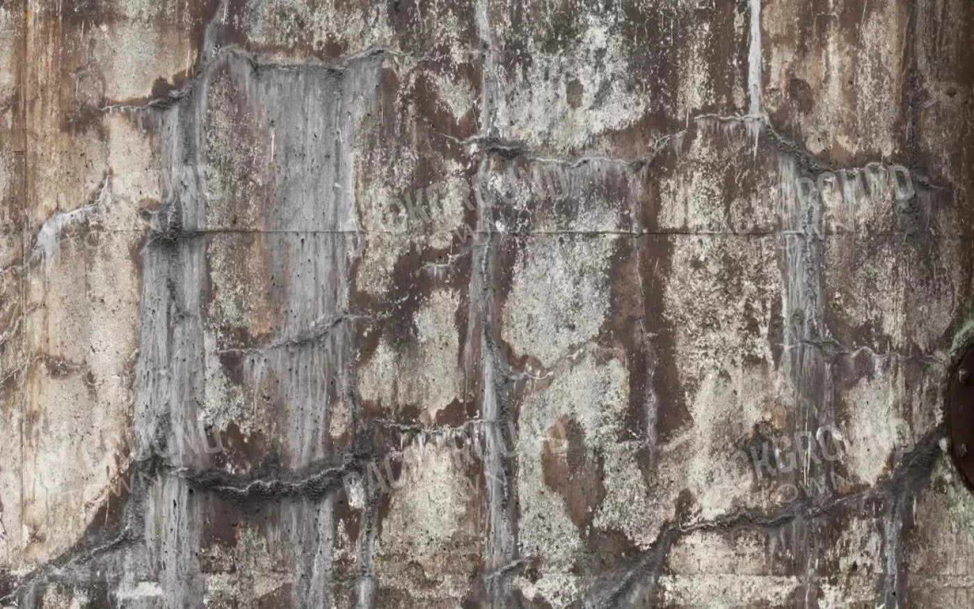 Condemned 14X9 Ultracloth ( 168 X 108 Inch ) Backdrop