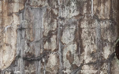 Condemned 14X9 Ultracloth ( 168 X 108 Inch ) Backdrop