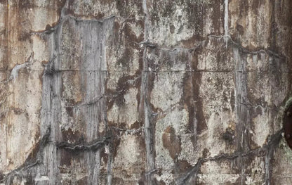 Condemned 16X10 Ultracloth ( 192 X 120 Inch ) Backdrop