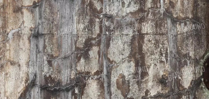 Condemned 16X8 Ultracloth ( 192 X 96 Inch ) Backdrop