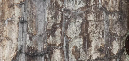 Condemned 16X8 Ultracloth ( 192 X 96 Inch ) Backdrop
