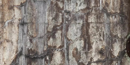 Condemned 20X10 Ultracloth ( 240 X 120 Inch ) Backdrop