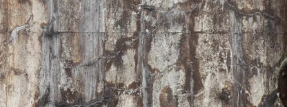 Condemned 20X8 Ultracloth ( 240 X 96 Inch ) Backdrop
