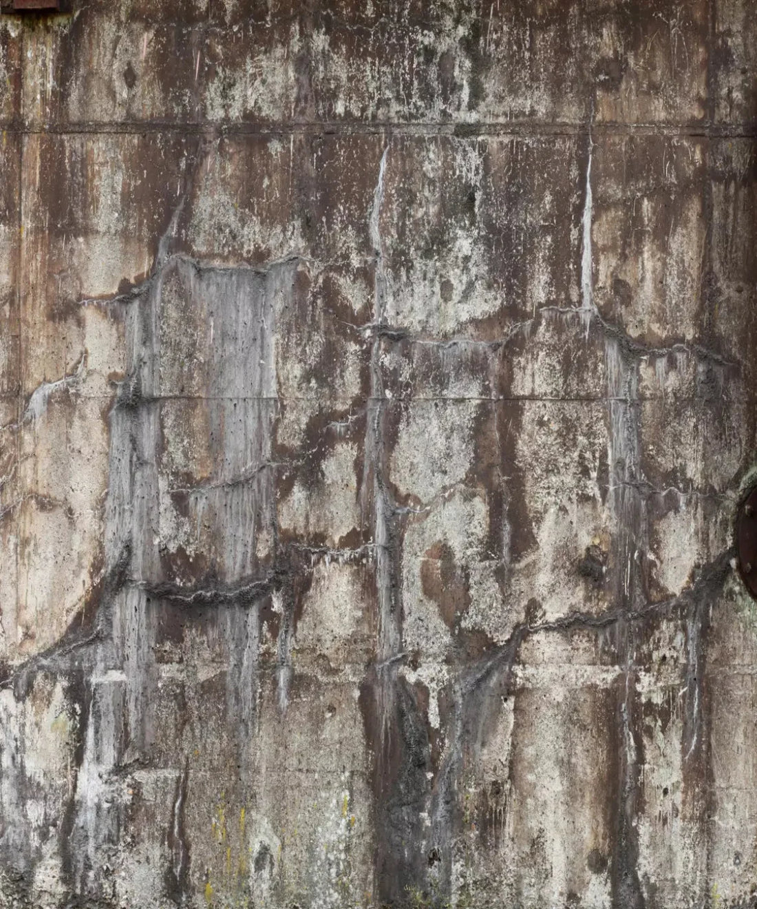 Beige Urban Grunge Backdrop for Photography