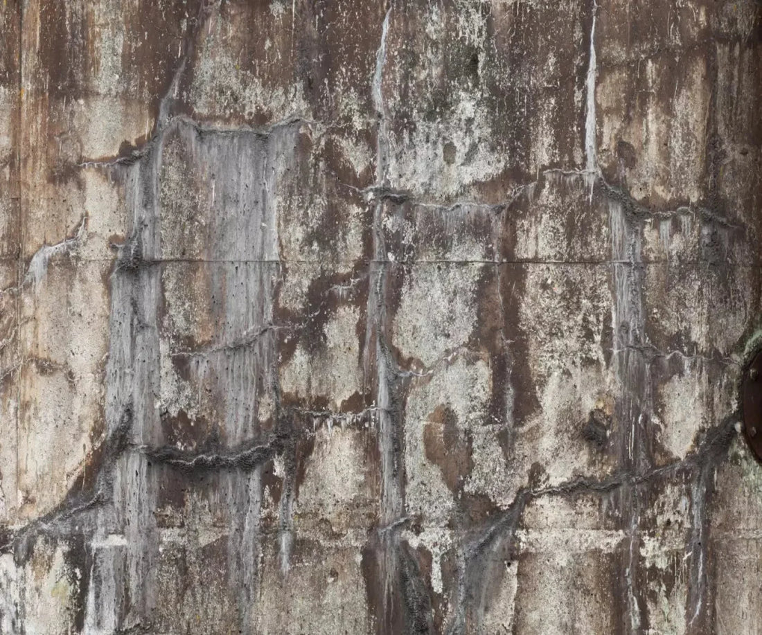 Condemned 5X42 Fleece ( 60 X 50 Inch ) Backdrop