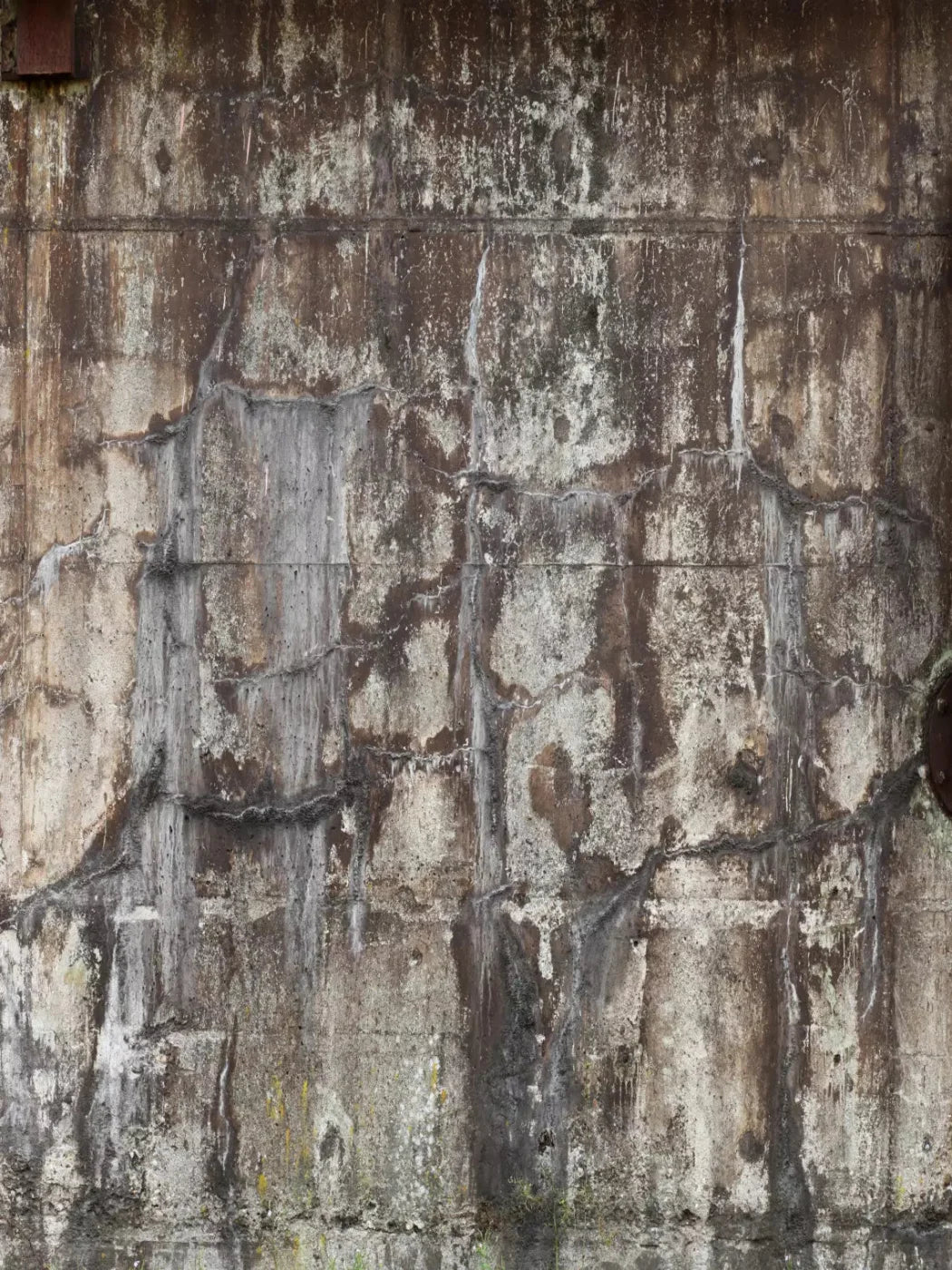 Condemned 5X7 Ultracloth ( 60 X 84 Inch ) Backdrop
