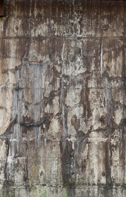 Condemned 8X12 Ultracloth ( 96 X 144 Inch ) Backdrop