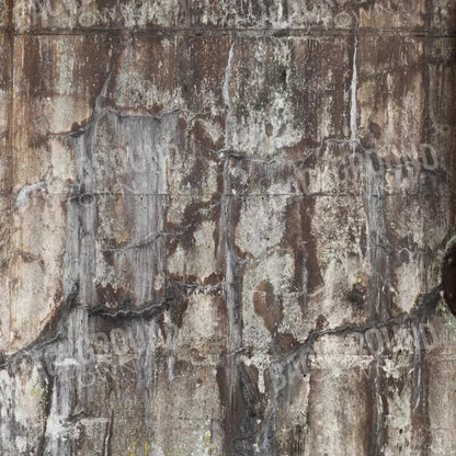 Condemned 8X8 Fleece ( 96 X Inch ) Backdrop