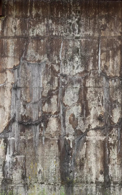 Condemned 9X14 Ultracloth ( 108 X 168 Inch ) Backdrop