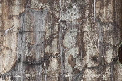 Condemned 5X4 Rubbermat Floor ( 60 X 48 Inch ) Backdrop