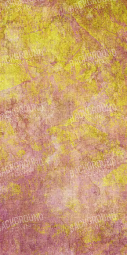Confection 10X20 Ultracloth ( 120 X 240 Inch ) Backdrop