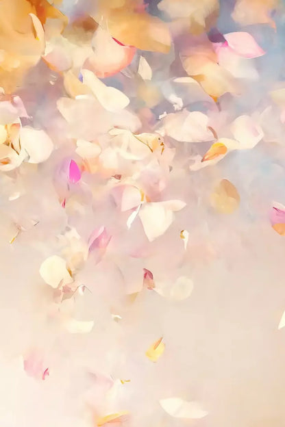 Confetti Blossoms Ii Backdrop
