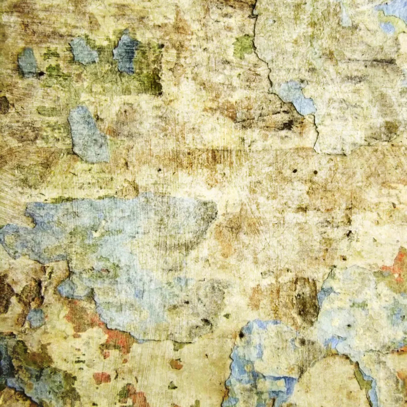Confine Backdrop