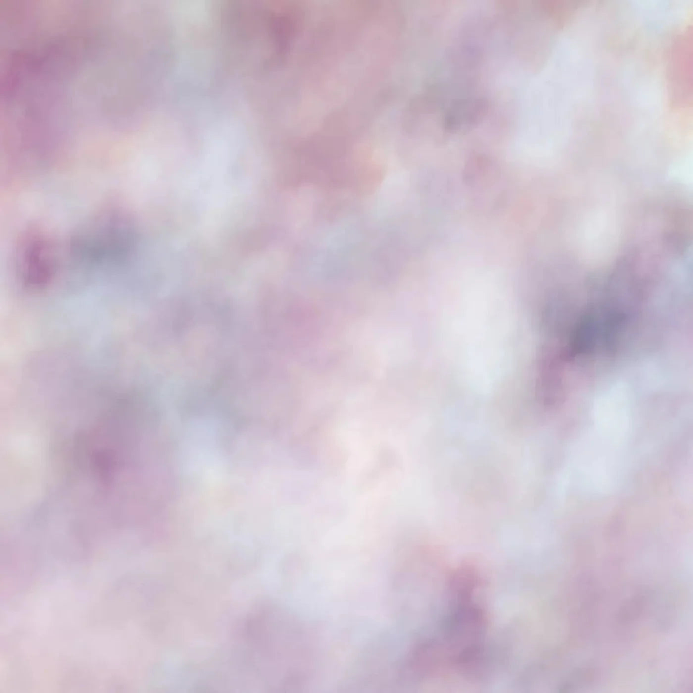 Connoisseur Backdrop