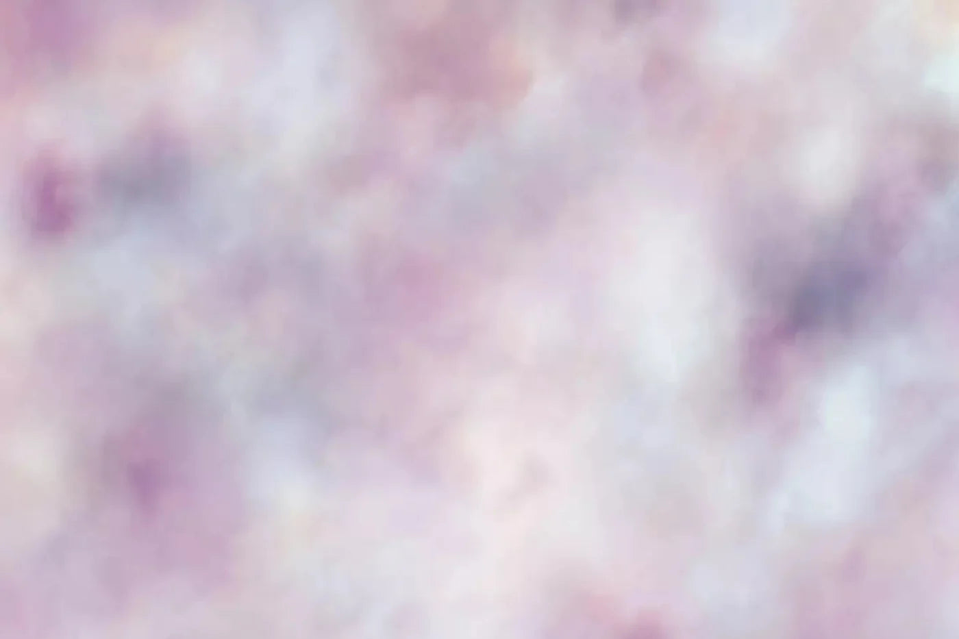 Connoisseur Backdrop