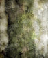 Green Urban Grunge Backdrop for Photography