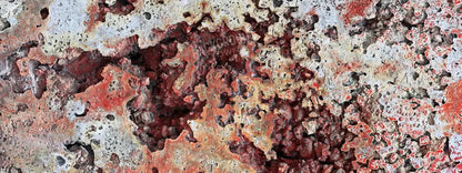 Contaminate 20X8 Ultracloth ( 240 X 96 Inch ) Backdrop