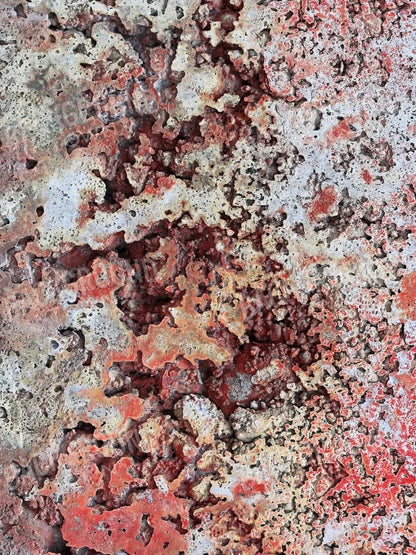 Contaminate 5X68 Fleece ( 60 X 80 Inch ) Backdrop