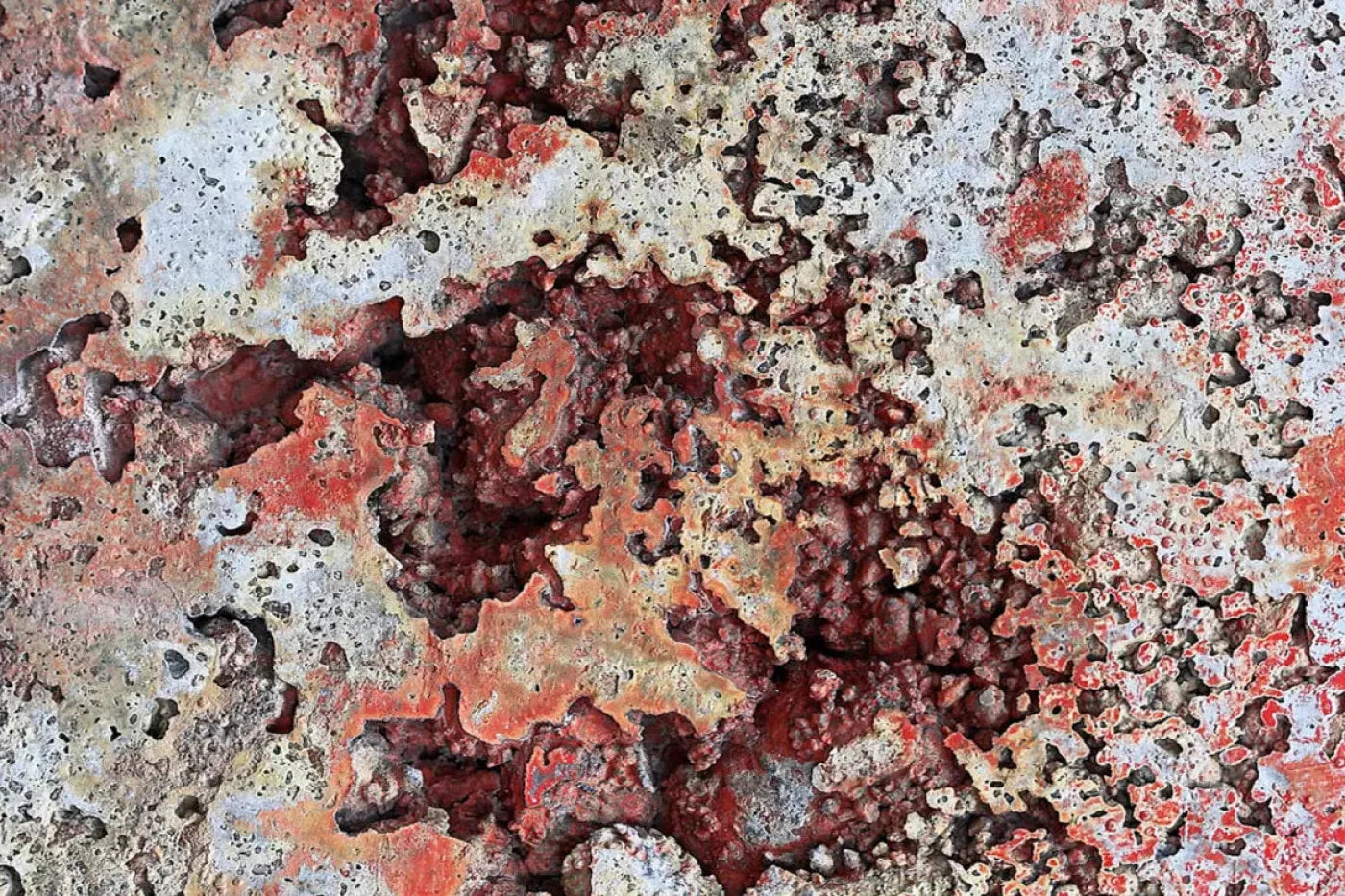 Contaminate Backdrop