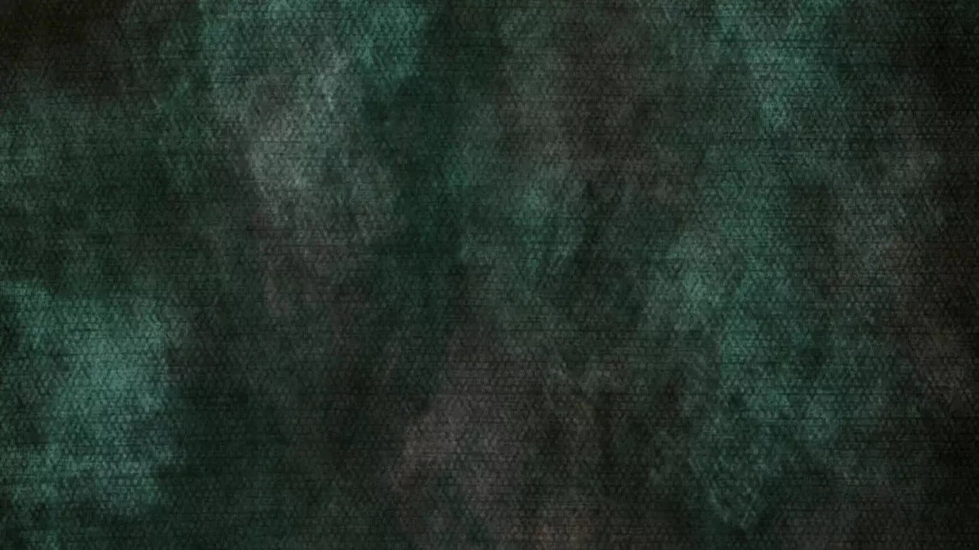 Contempt Evergreen 14X8 Ultracloth ( 168 X 96 Inch ) Backdrop