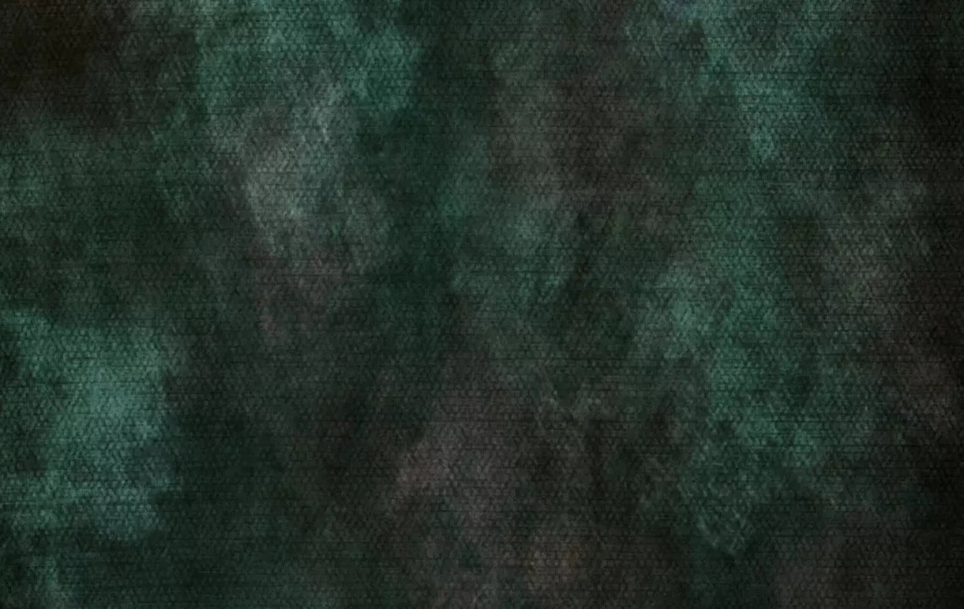 Contempt Evergreen 16X10 Ultracloth ( 192 X 120 Inch ) Backdrop