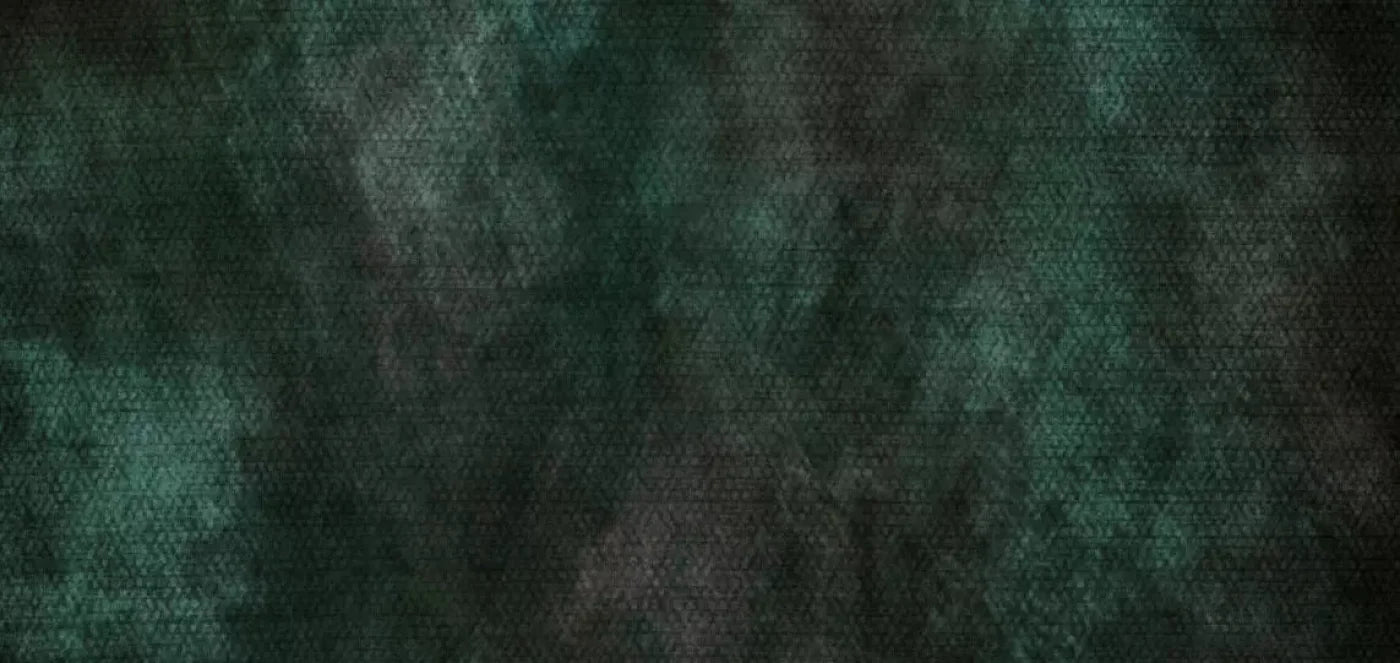 Contempt Evergreen 16X8 Ultracloth ( 192 X 96 Inch ) Backdrop