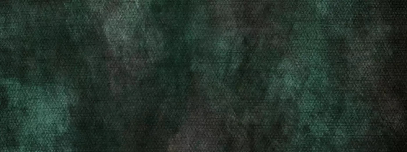 Contempt Evergreen 20X8 Ultracloth ( 240 X 96 Inch ) Backdrop
