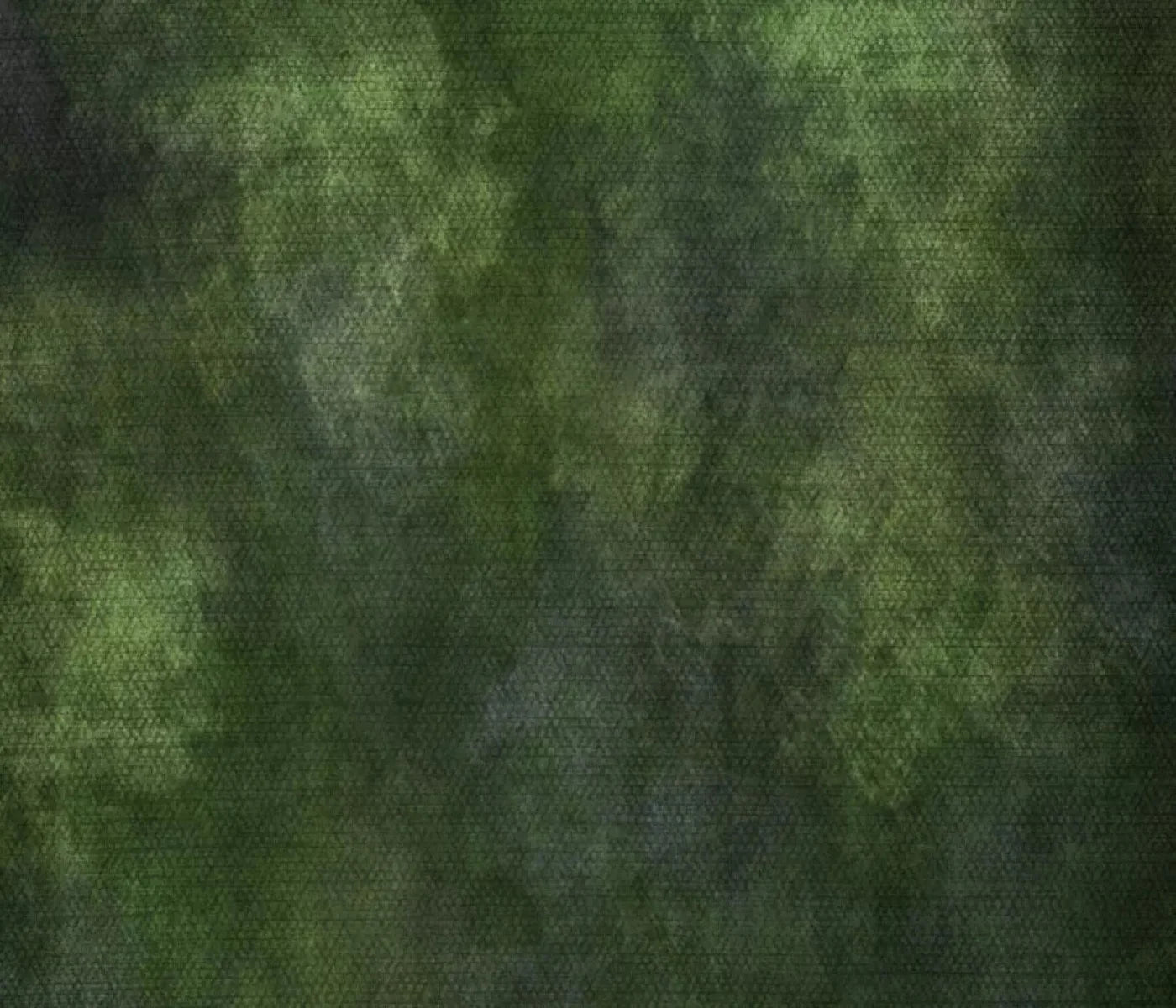 Contempt Green 12X10 Ultracloth ( 144 X 120 Inch ) Backdrop