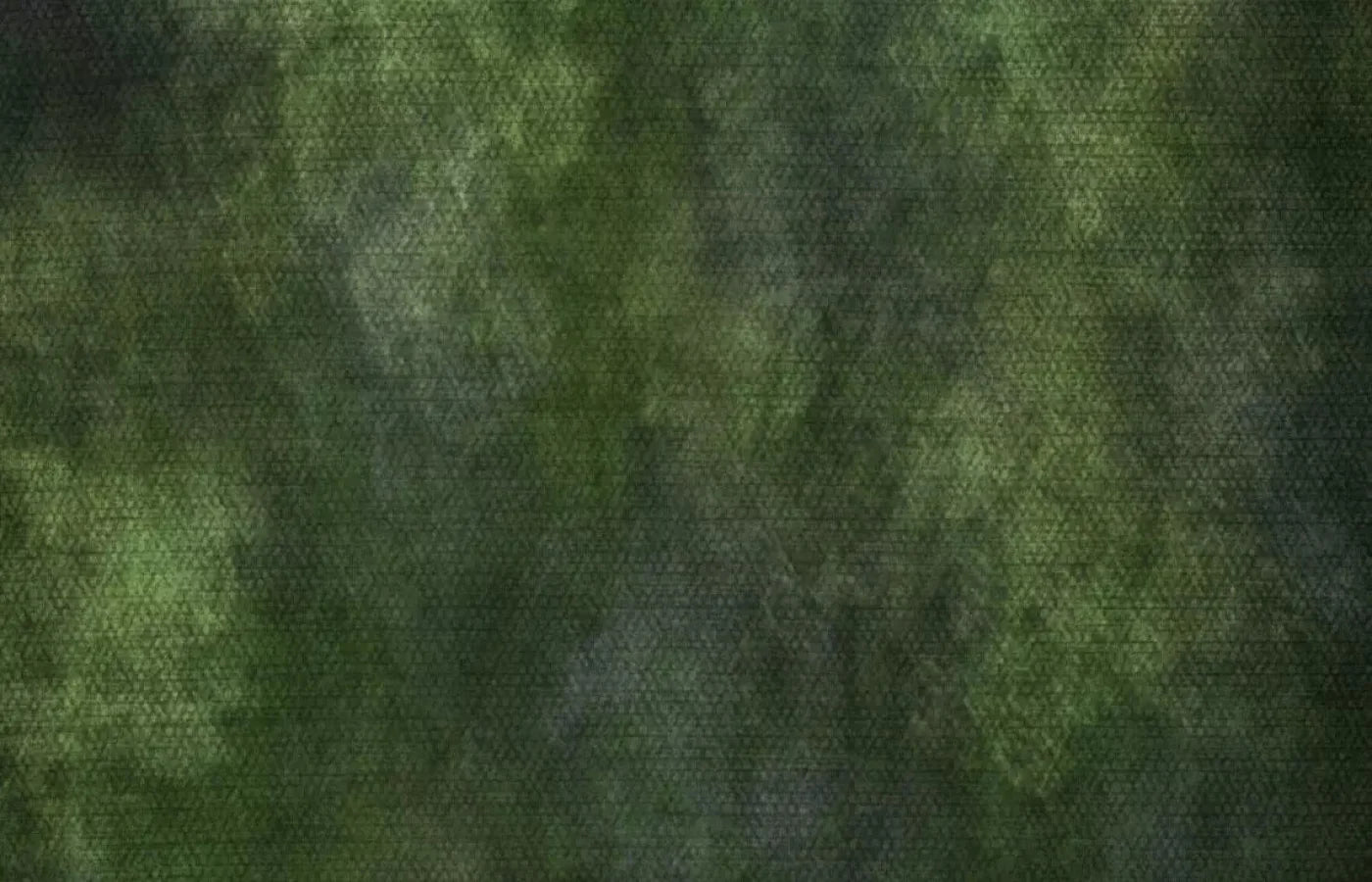 Contempt Green 12X8 Ultracloth ( 144 X 96 Inch ) Backdrop
