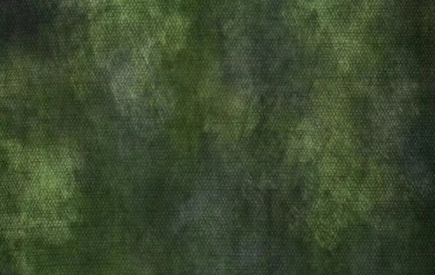 Contempt Green 16X10 Ultracloth ( 192 X 120 Inch ) Backdrop