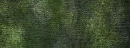 Contempt Green 20X8 Ultracloth ( 240 X 96 Inch ) Backdrop
