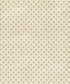Beige Pattern Backdrop for Photography