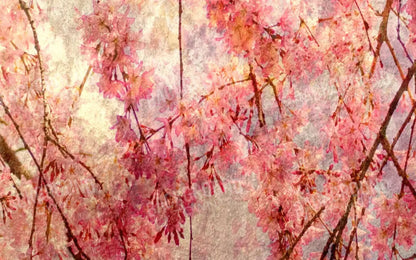 Cora 14X9 Ultracloth ( 168 X 108 Inch ) Backdrop
