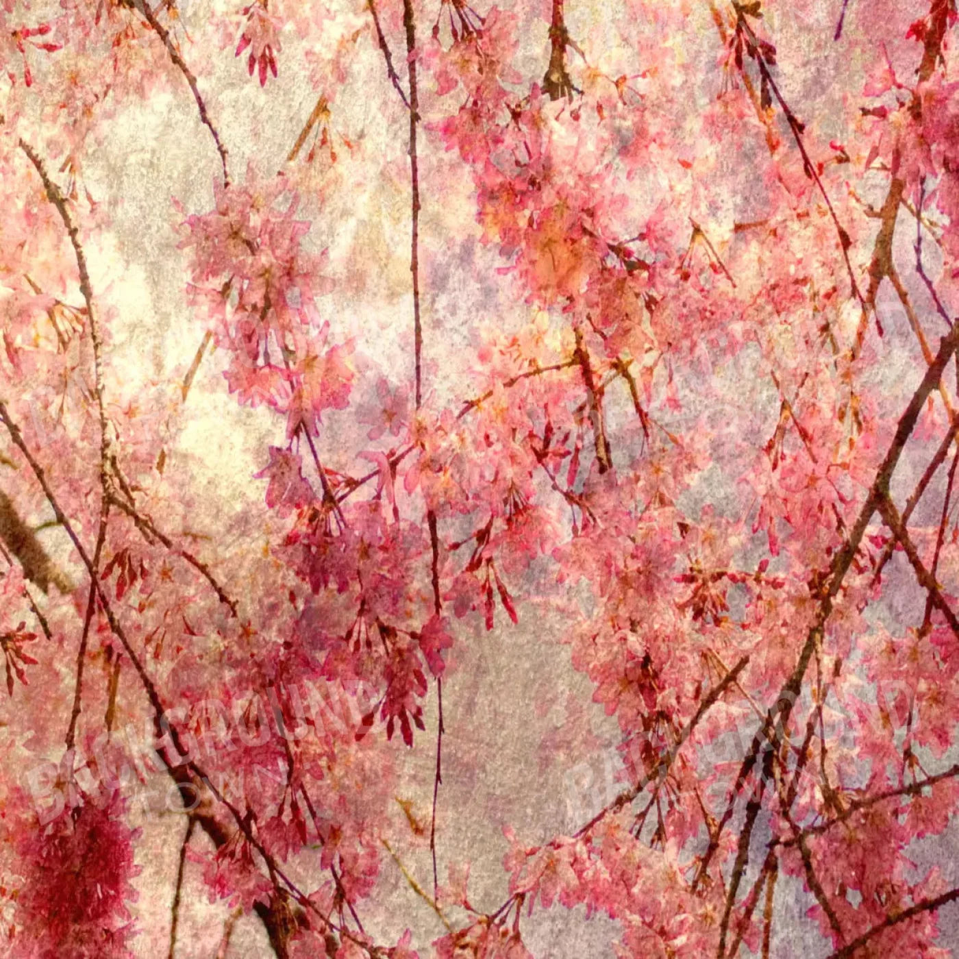 Cora 8X8 Fleece ( 96 X Inch ) Backdrop